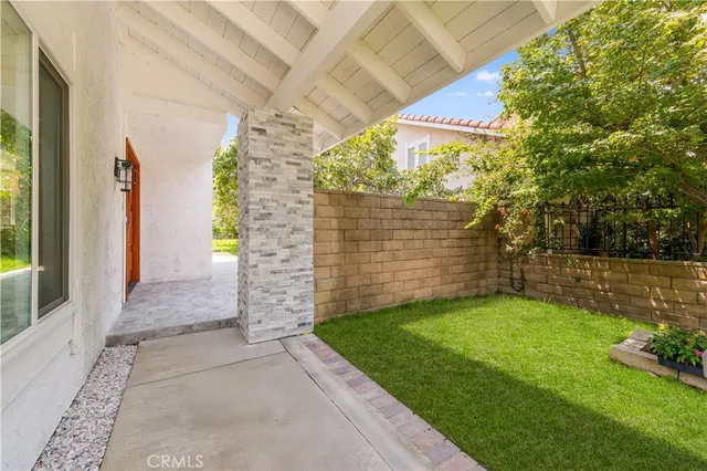 a view of a yard with plants and large trees