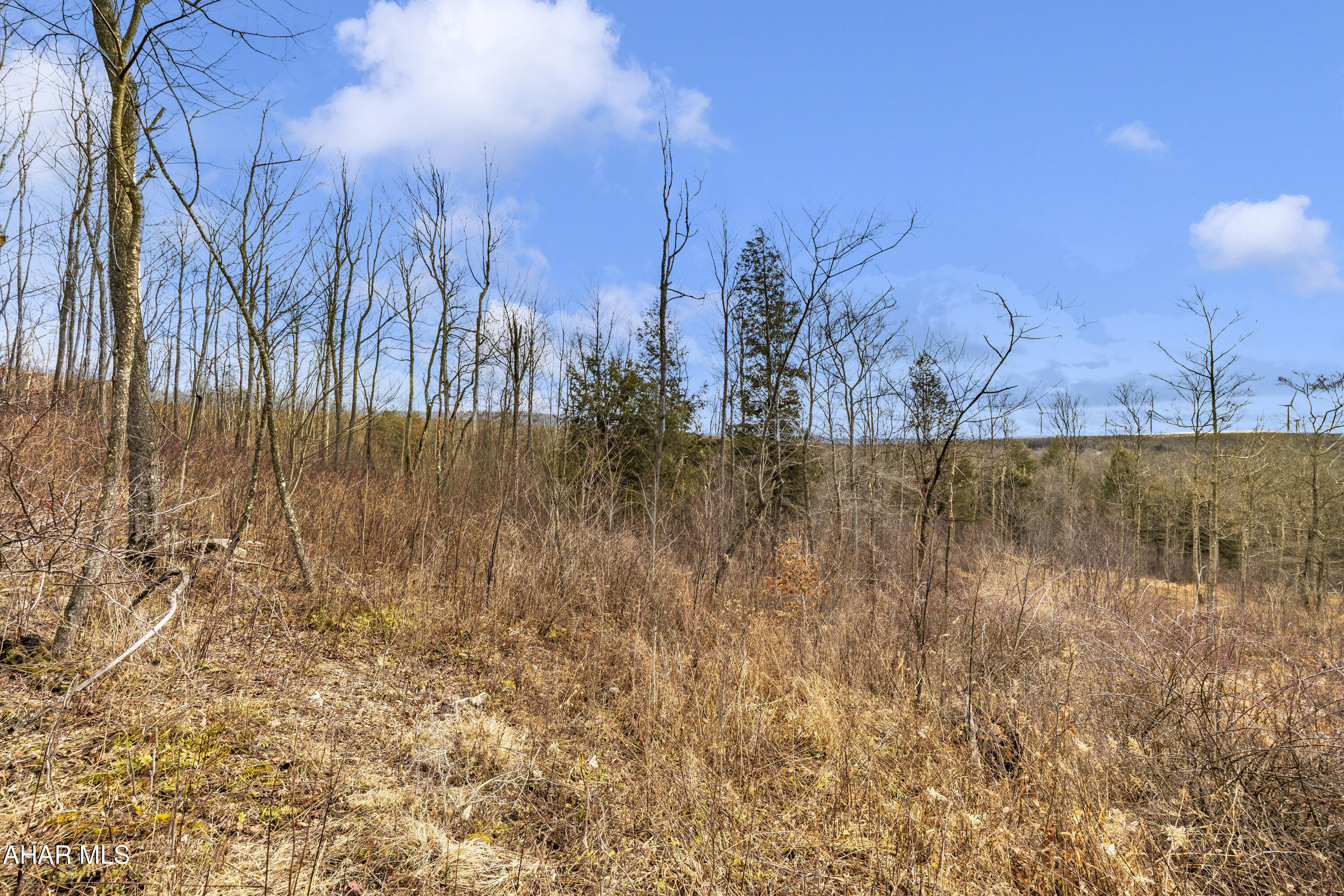0 Lot 6 Mountain Road Road Lilly, PA 15938 - Photo 29 of 33