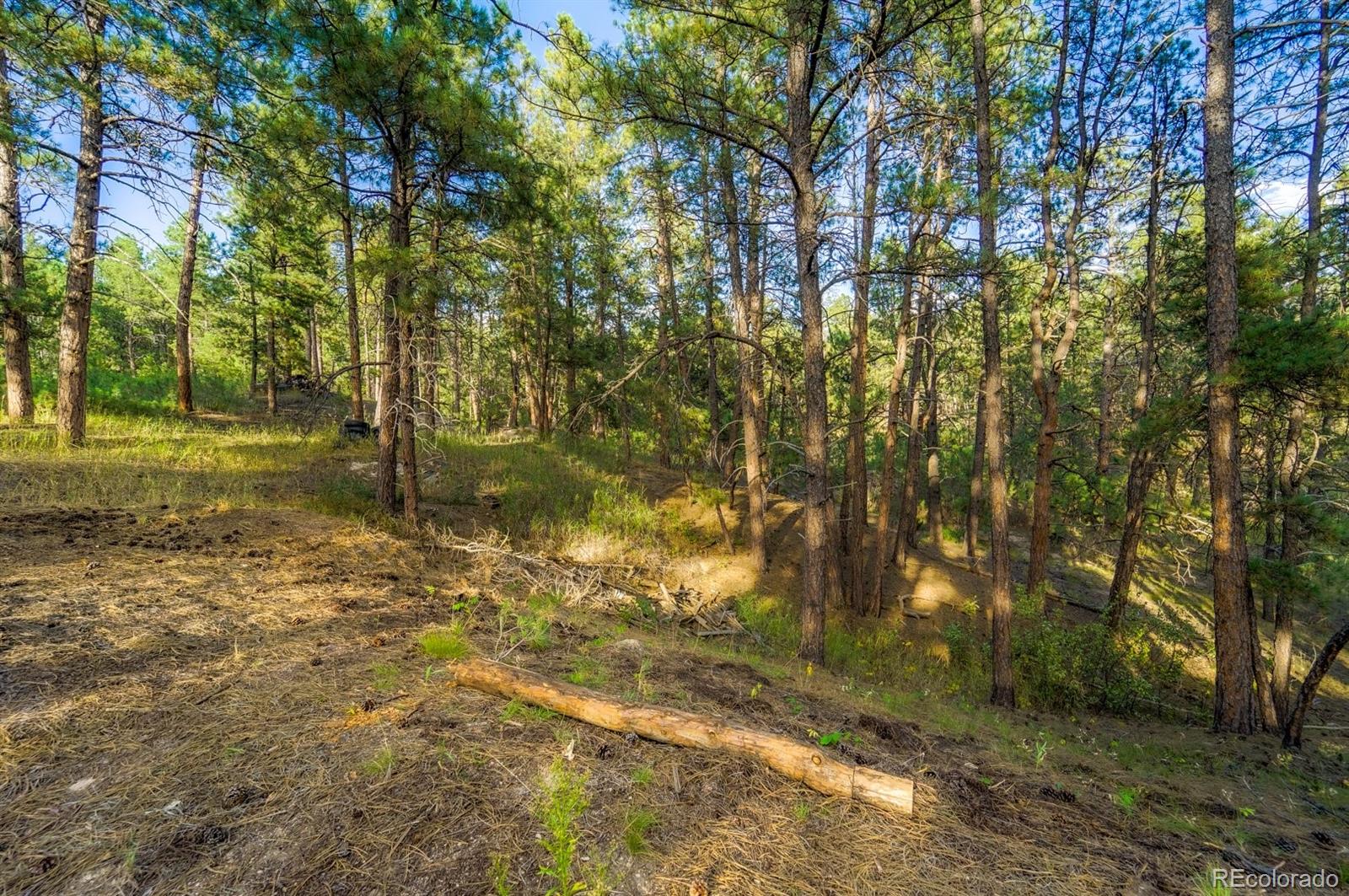 12085 Milam Road Colorado Springs, CO 80908 - Photo 4 of 16 Gallery Image 4