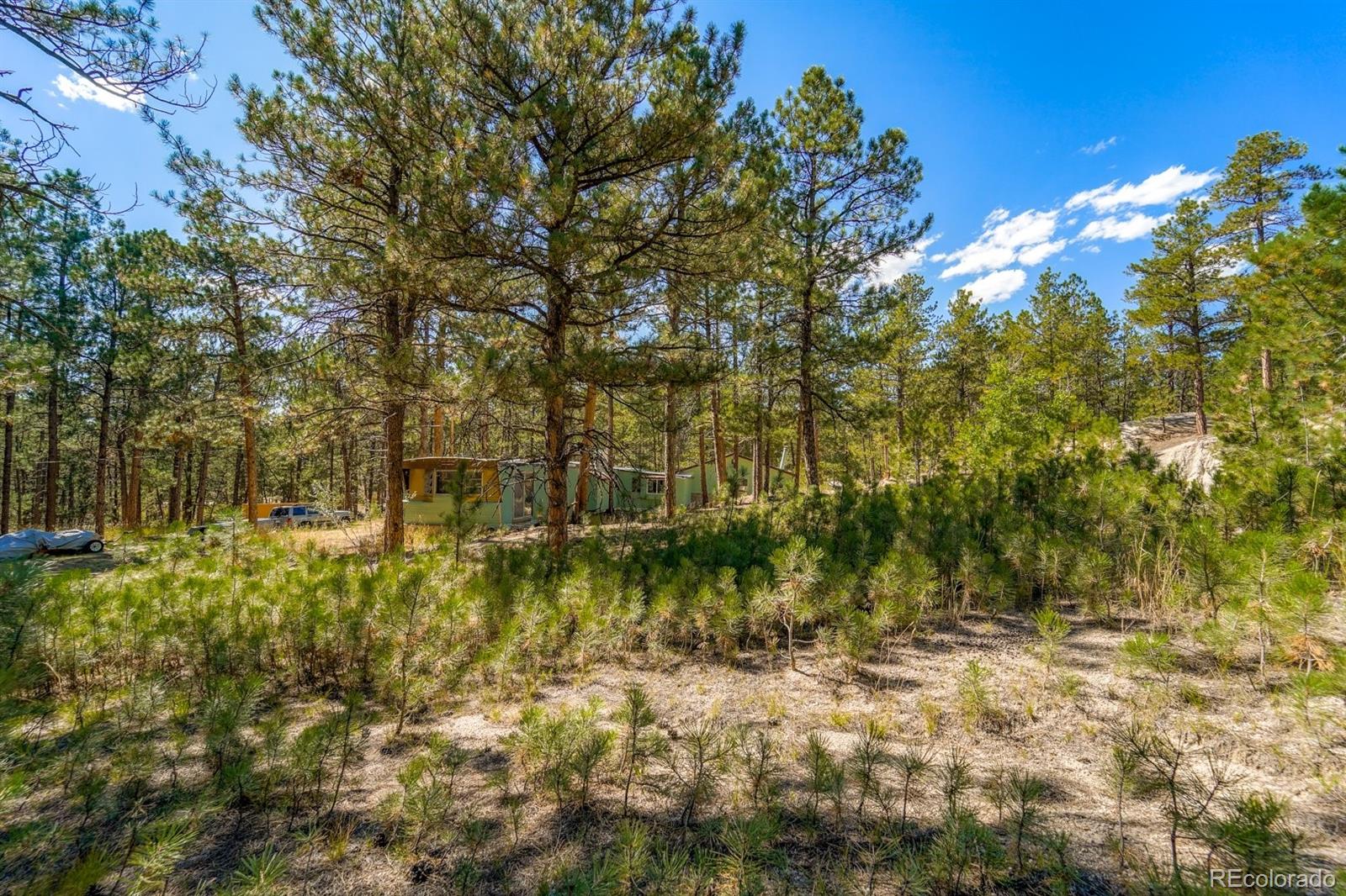 12085 Milam Road Colorado Springs, CO 80908 - Photo 10 of 16 Gallery Image 10