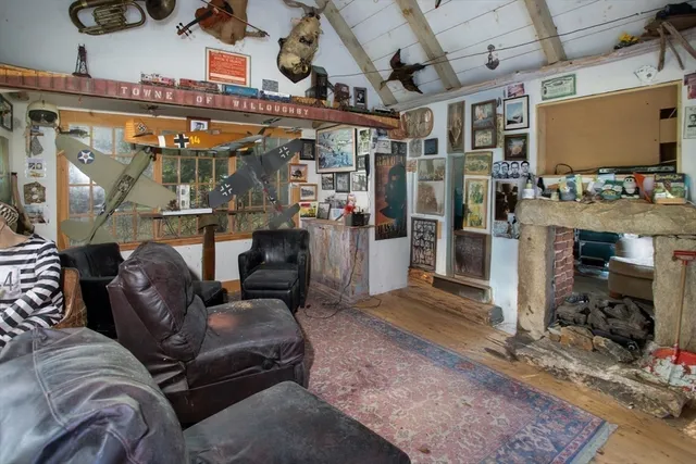 a view of a lot of trees and bushes