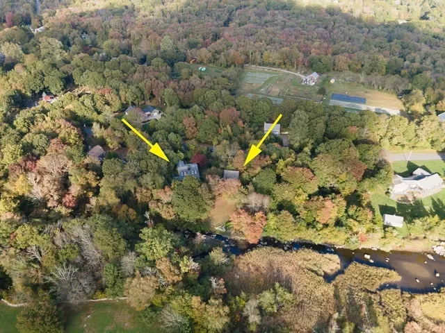 a view of a tree with a yard