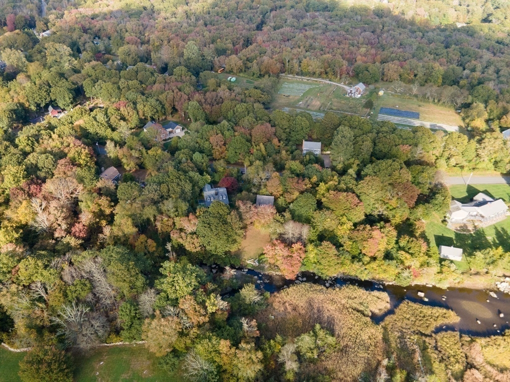 17 Quail Trail Westport, MA 02790 - Photo 33 of 40 a view of a lot of trees and bushes