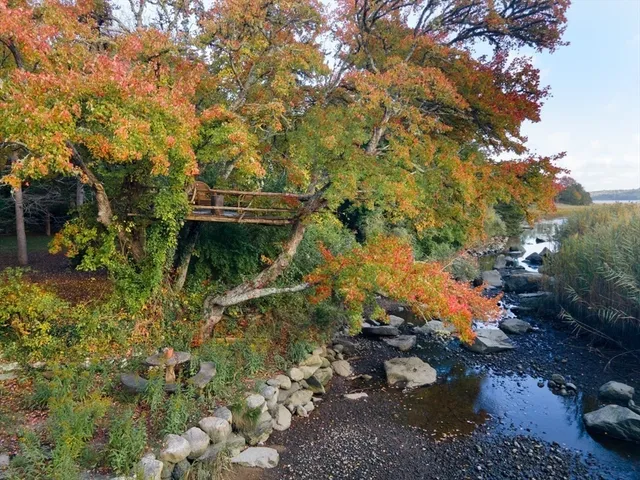 a view of a garden with an outdoor seating