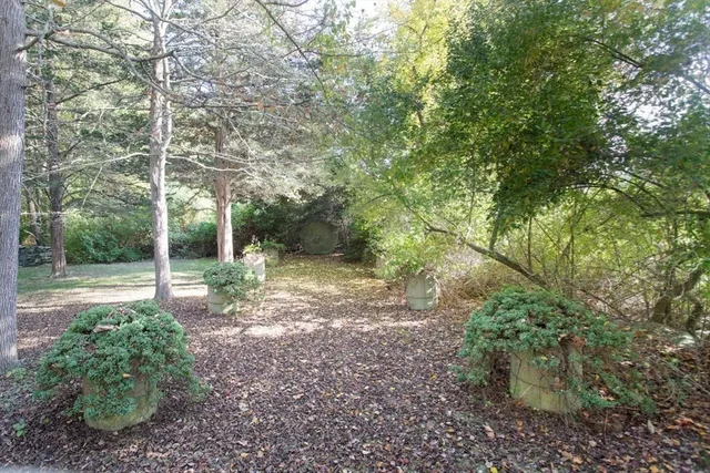 a view of a backyard