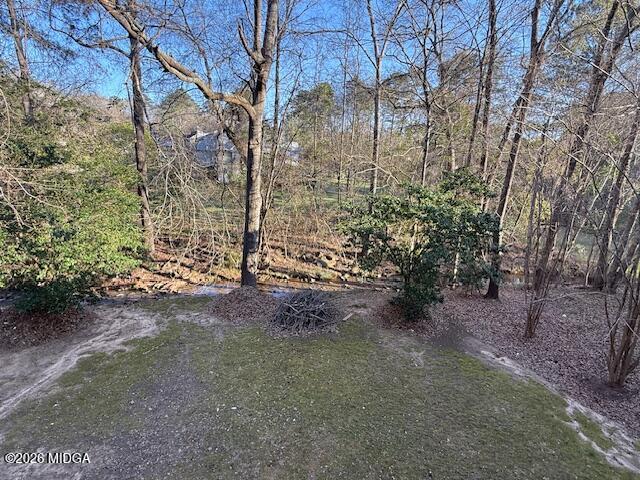 135 Chadwick Trail Macon, GA 31210 - Photo 21 of 22 a view of a yard with trees