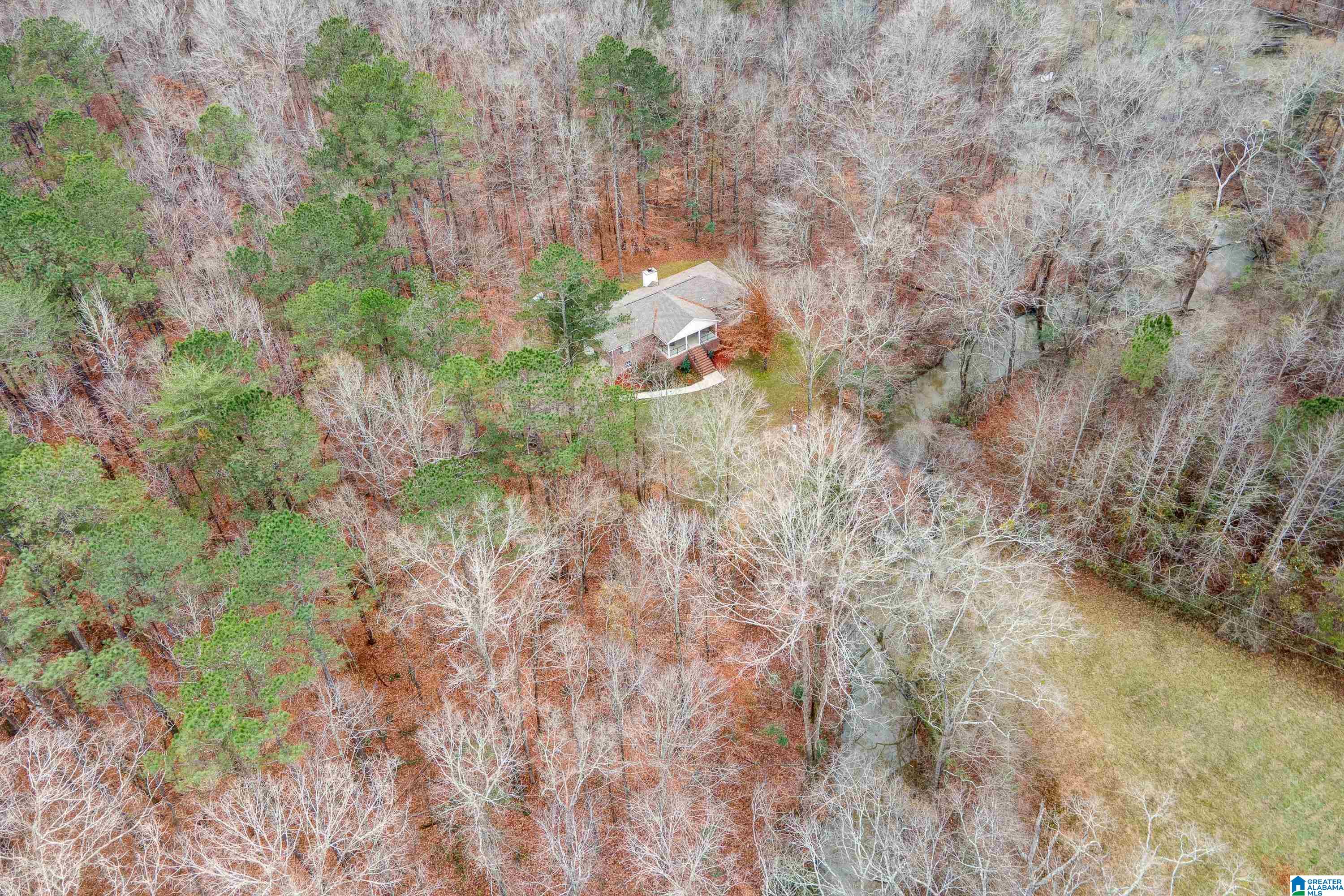 384 Moss Rock Trail Sterrett, AL 35147 - Photo 8 of 47