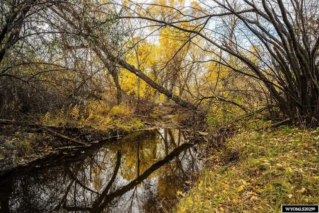 $499,900 | 721 Bridge Street, Dayton, WY 82836