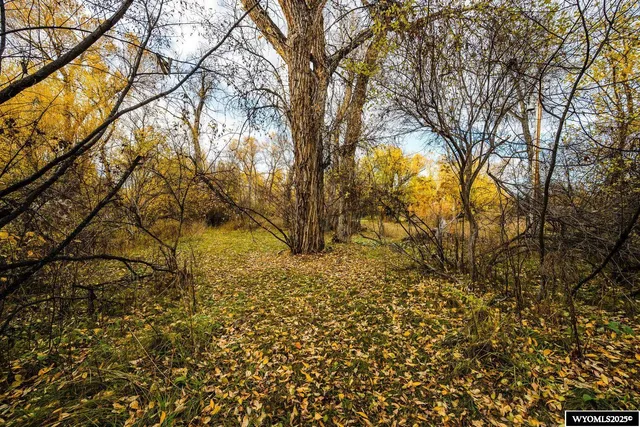 $499,900 | 721 Bridge Street, Dayton, WY 82836