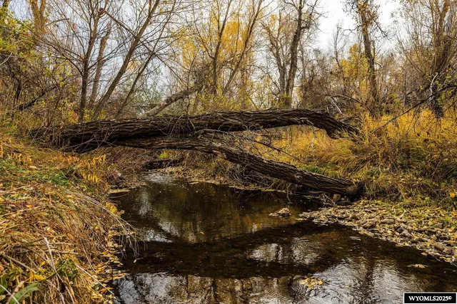 $499,900 | 721 Bridge Street, Dayton, WY 82836