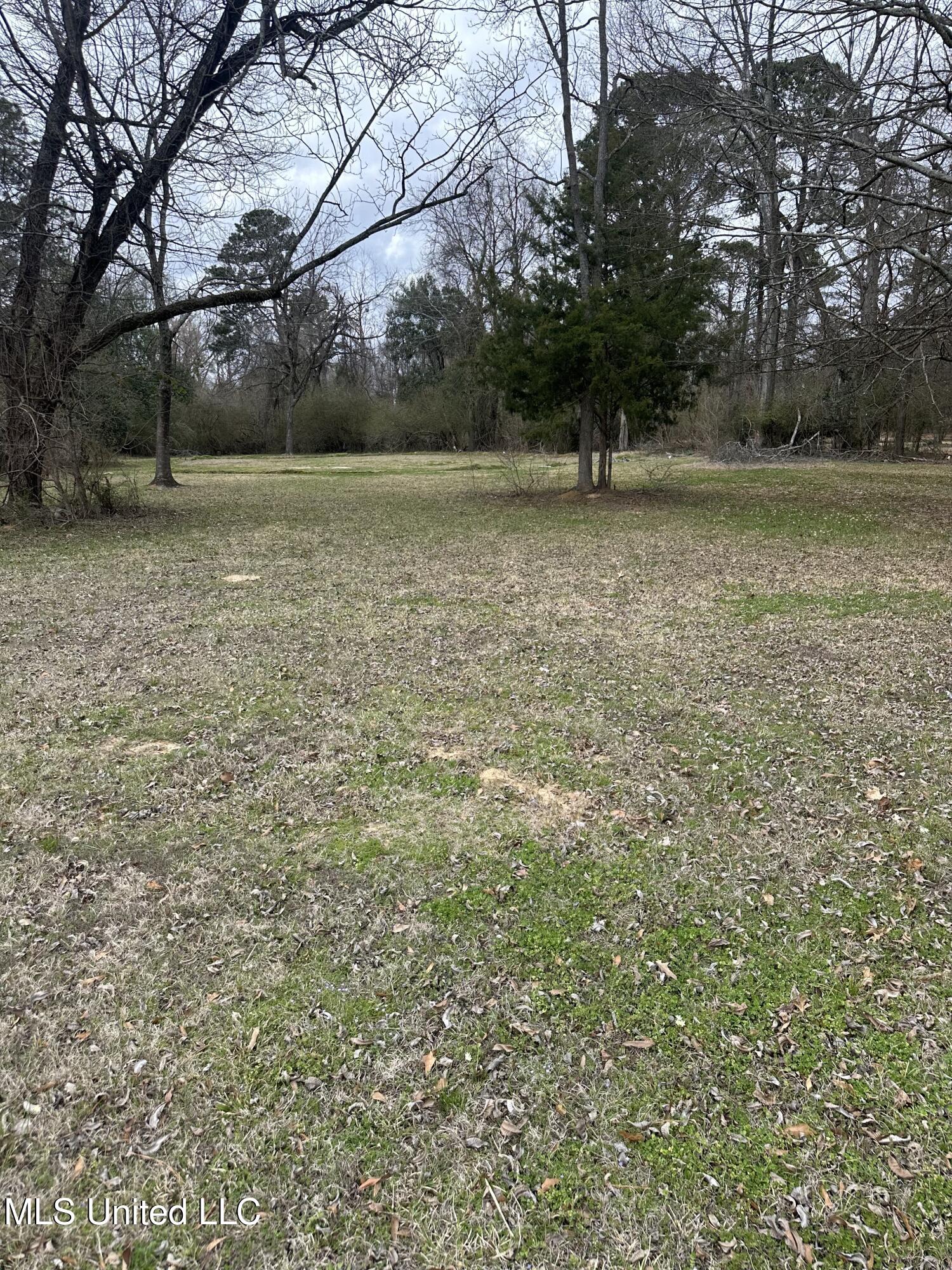 1141 Highway 51 Madison, MS 39110 - Photo 1 of 1 lot