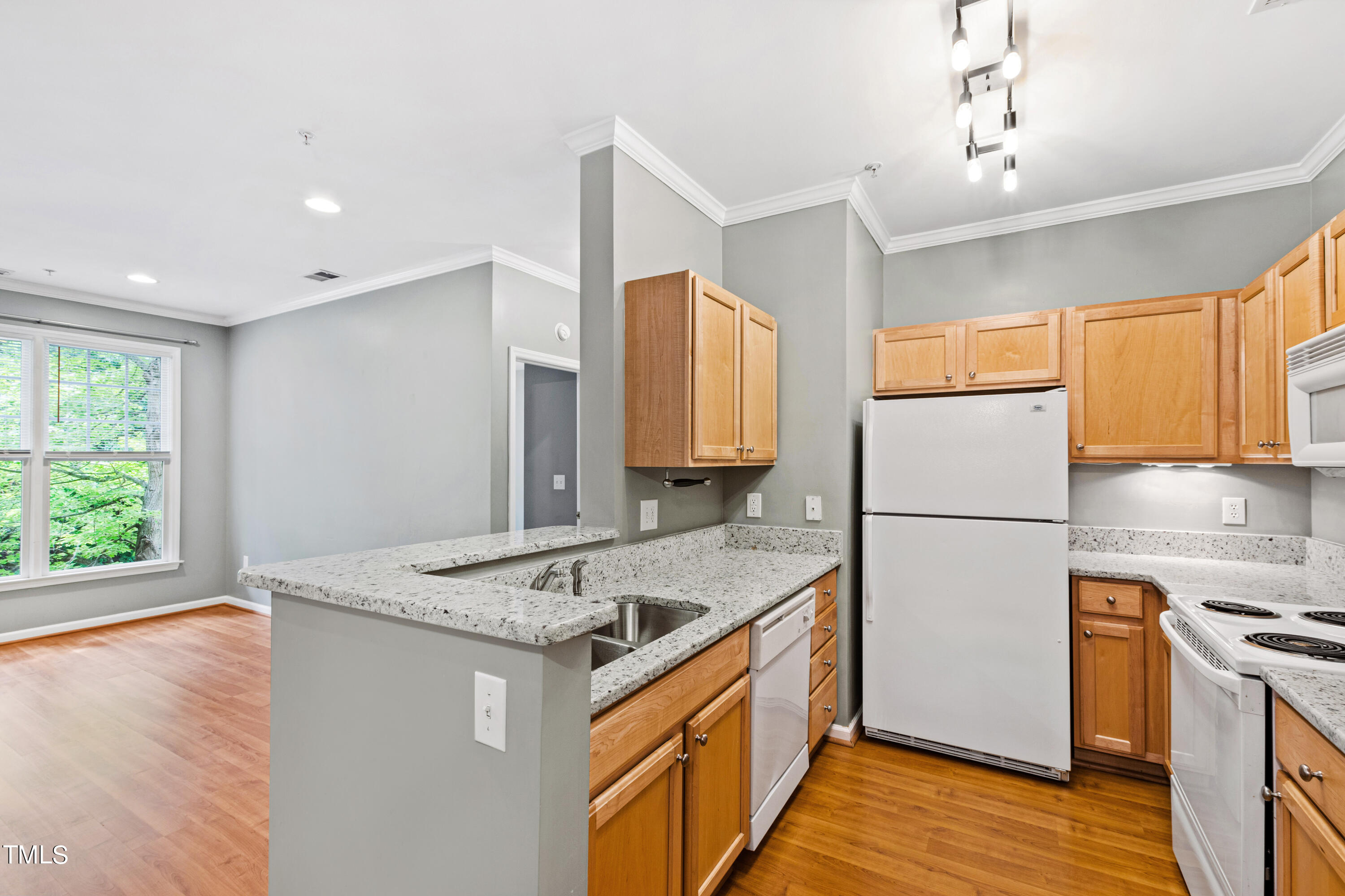 801 Moratuck Drive, Unit 207 Raleigh, NC 27604 - Photo 12 of 32 Kitchen 2