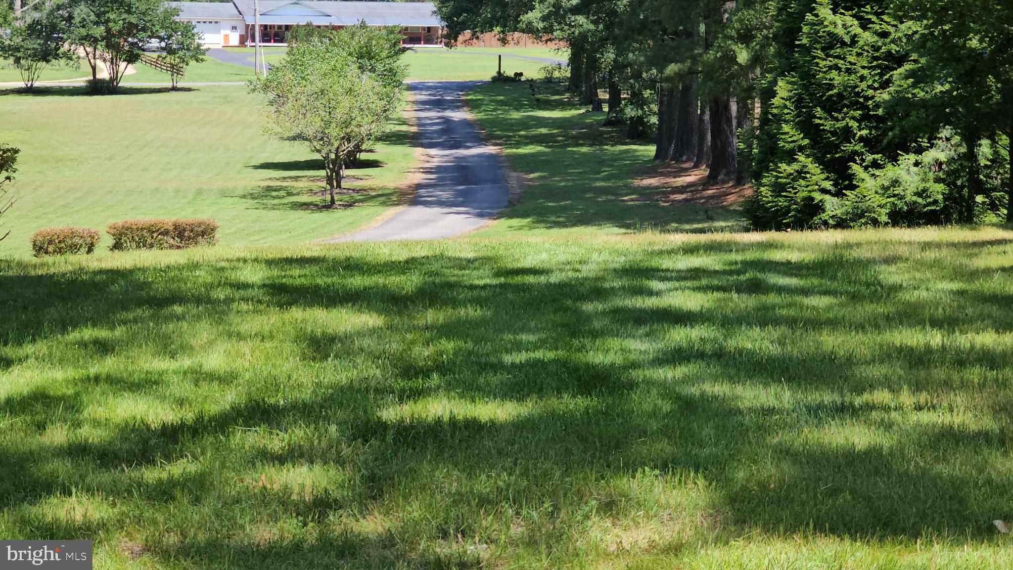 10664 Deacon Road White Plains, MD 20695 - Photo 3 of 50 Calming Front Lawn View from Porch