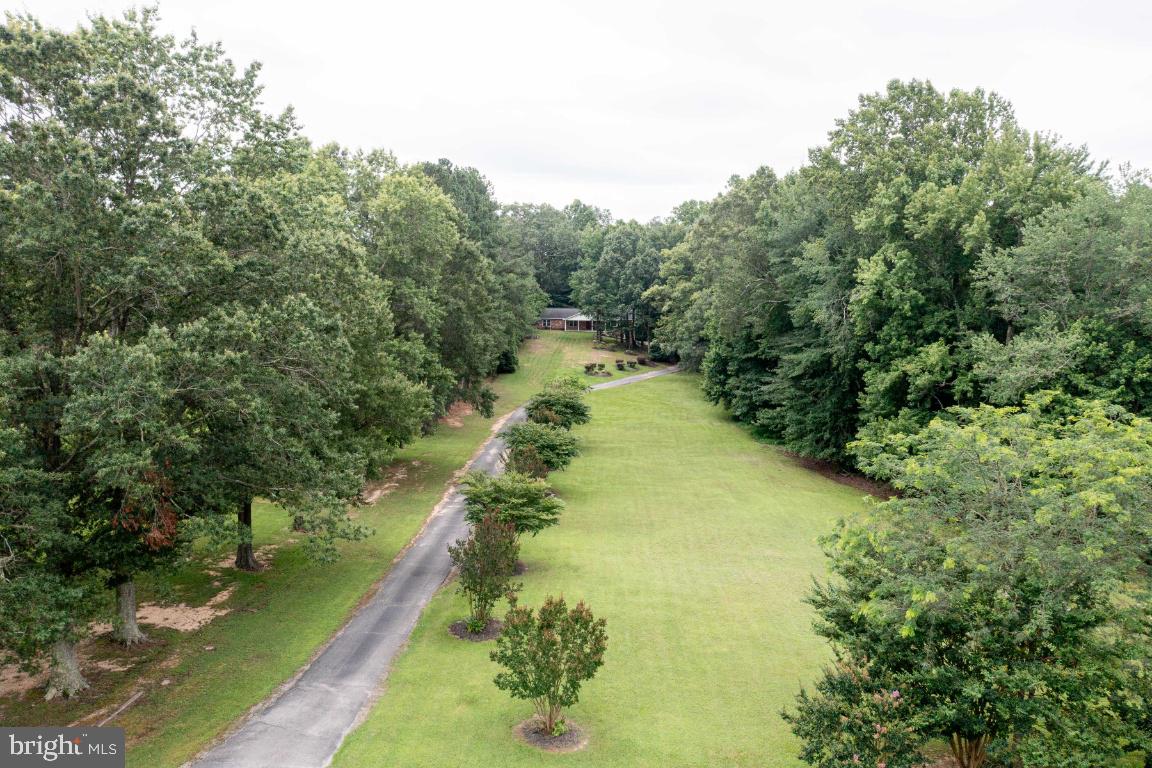 10664 Deacon Road White Plains, MD 20695 - Photo 4 of 50 Tree Lined Driveway