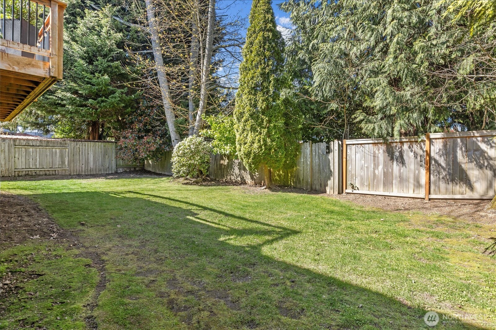 4629 128th Place Southeast Everett, WA 98208 - Photo 32 of 39 a view of a yard with an trees