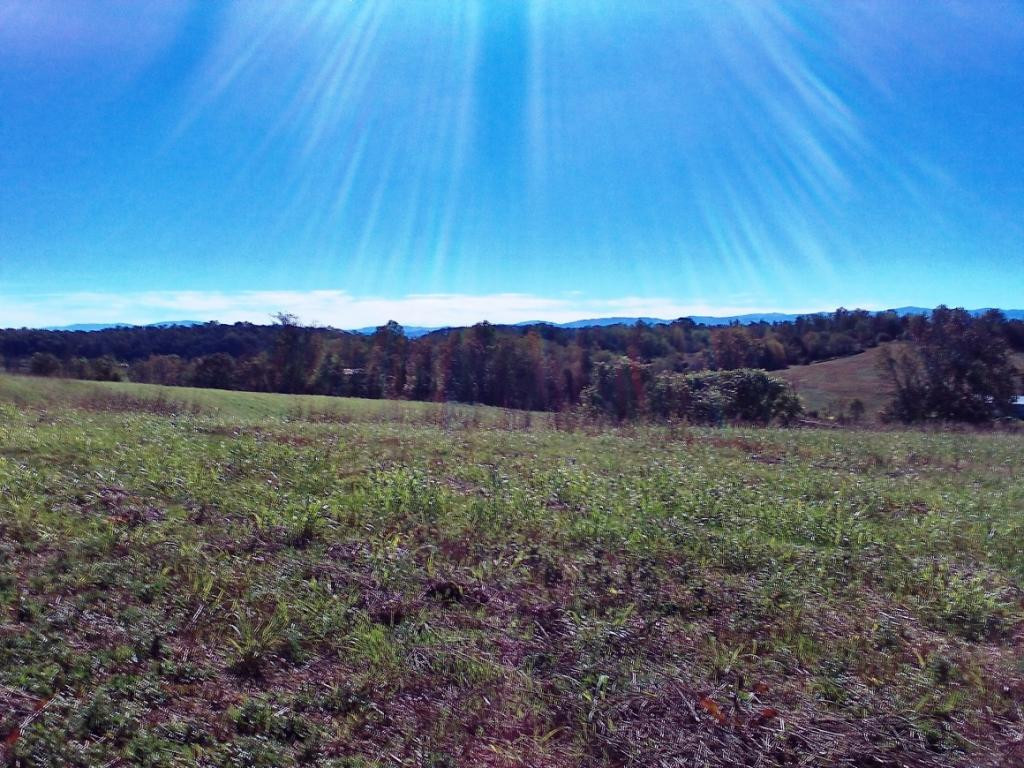 Lot 3 Milburnton Road, Unit 3 Limestone, TN 37681 - Photo 3 of 17 Photo 3