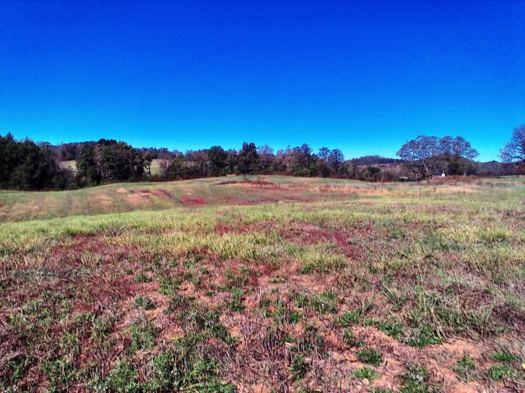Lot 3 Milburnton Road, Unit 3 Limestone, TN 37681 - Photo 7 of 17 Photo 7