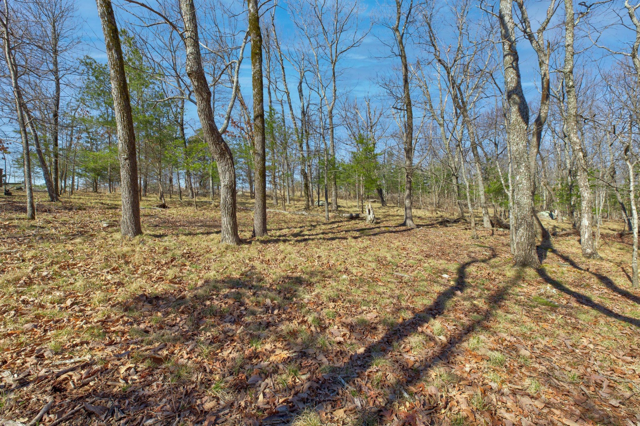 0 West Bluff Road Cloudland, GA 30731 - Photo 12 of 28 Gallery Image 12