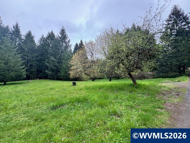 23939 Raze Road Elmira, OR 97437 - Photo 37 of 46