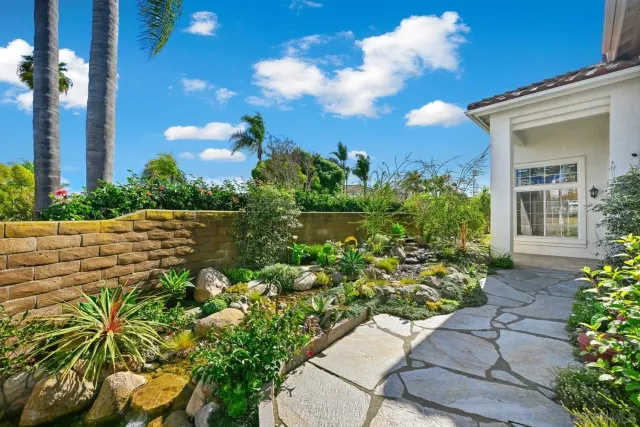 a view of a garden with plants