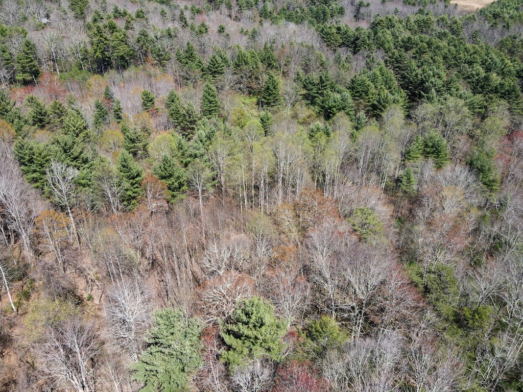 Reedsville Road Northwest Floyd, VA 24091 - Photo 26 of 31 Gallery Image 26