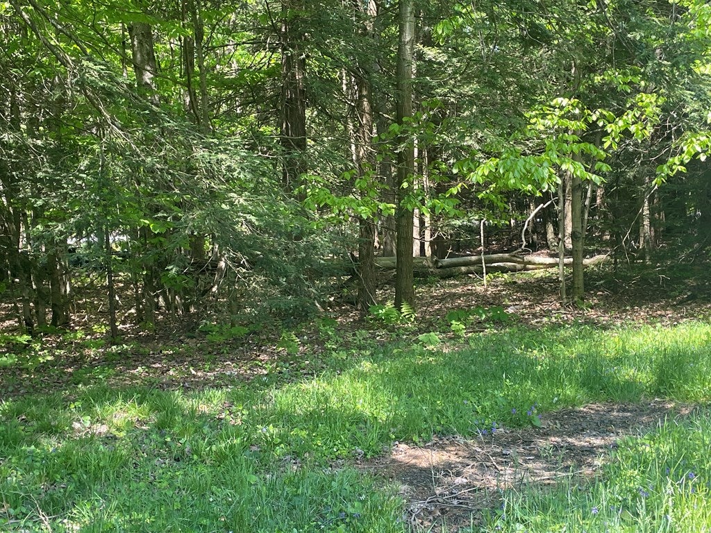 43 Long Valley Road Monroeton, PA 18832 - Photo 33 of 35 Gallery Image 33