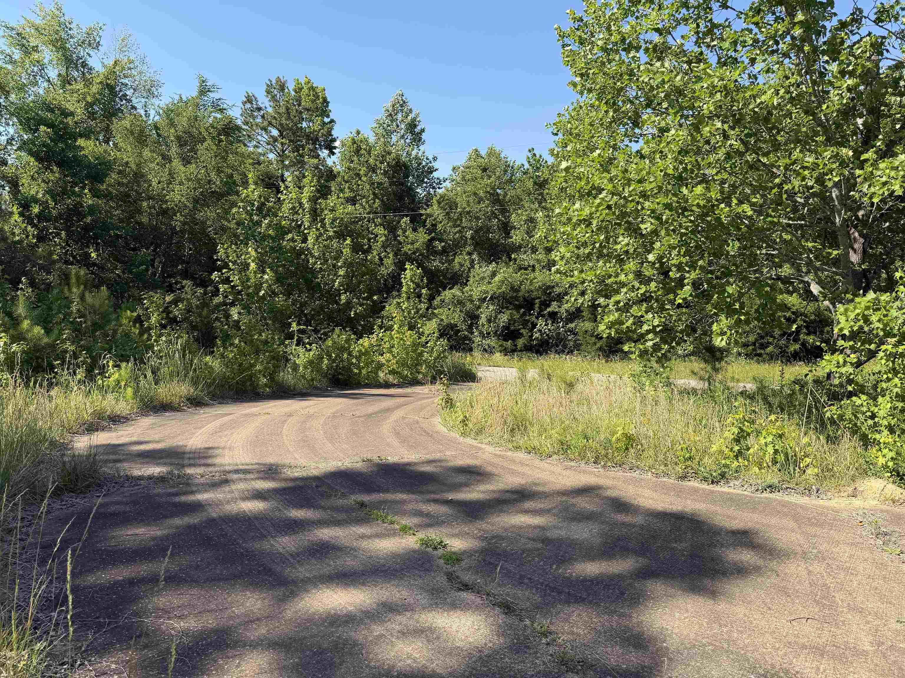 3180 Old Union Road Adamsville, TN 38310 - Photo 3 of 20