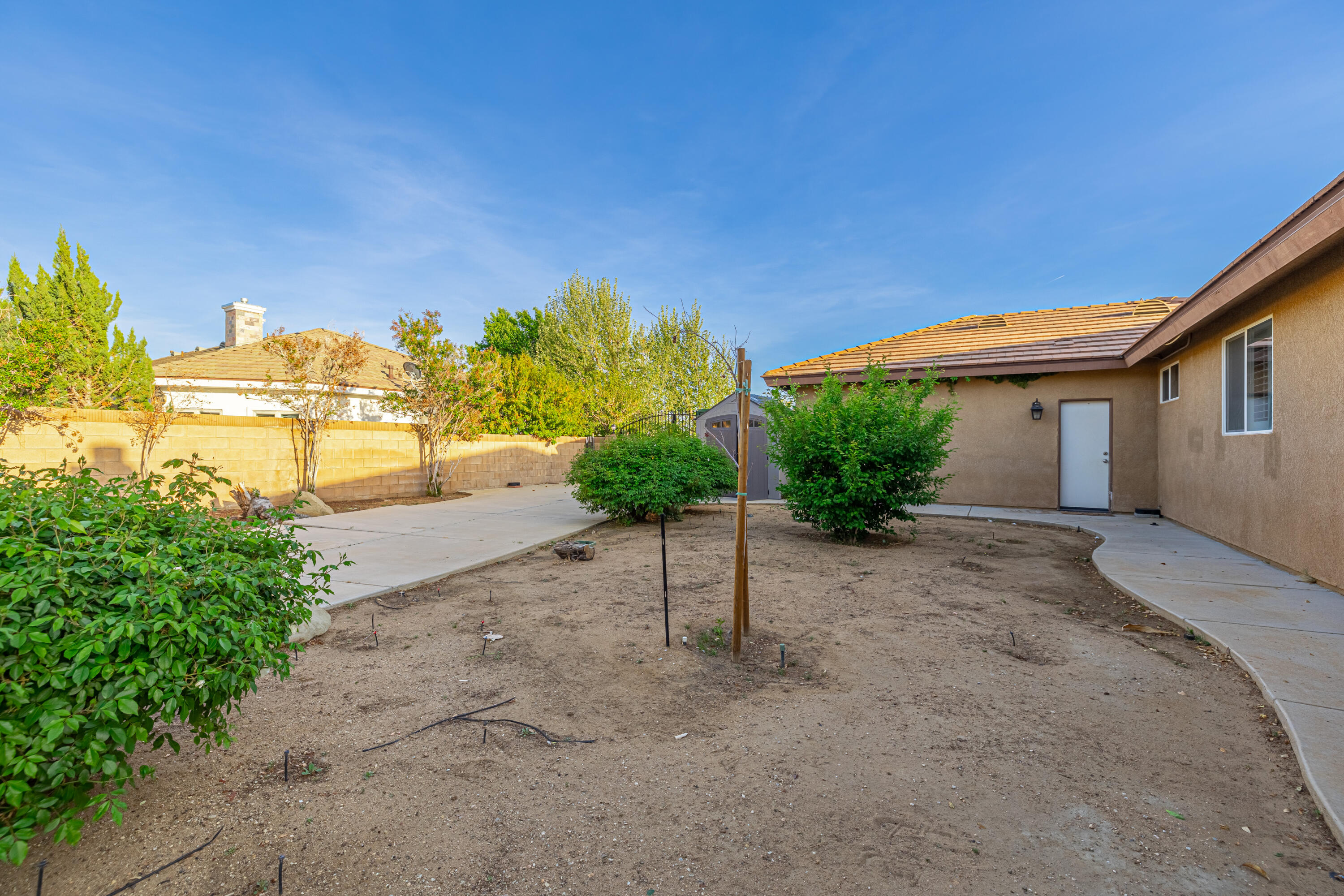 4023 Derby Circle Lancaster, CA 93536 - Photo 47 of 53 a view of a backyard with plants and a tree