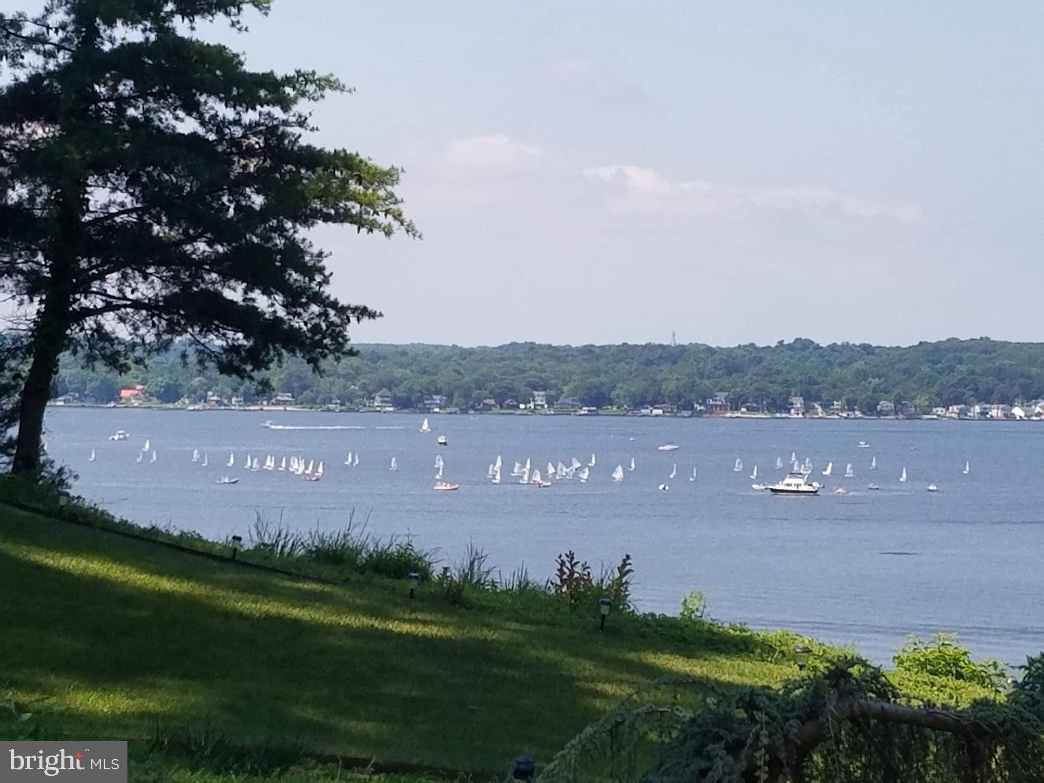 View of Sailboat Races