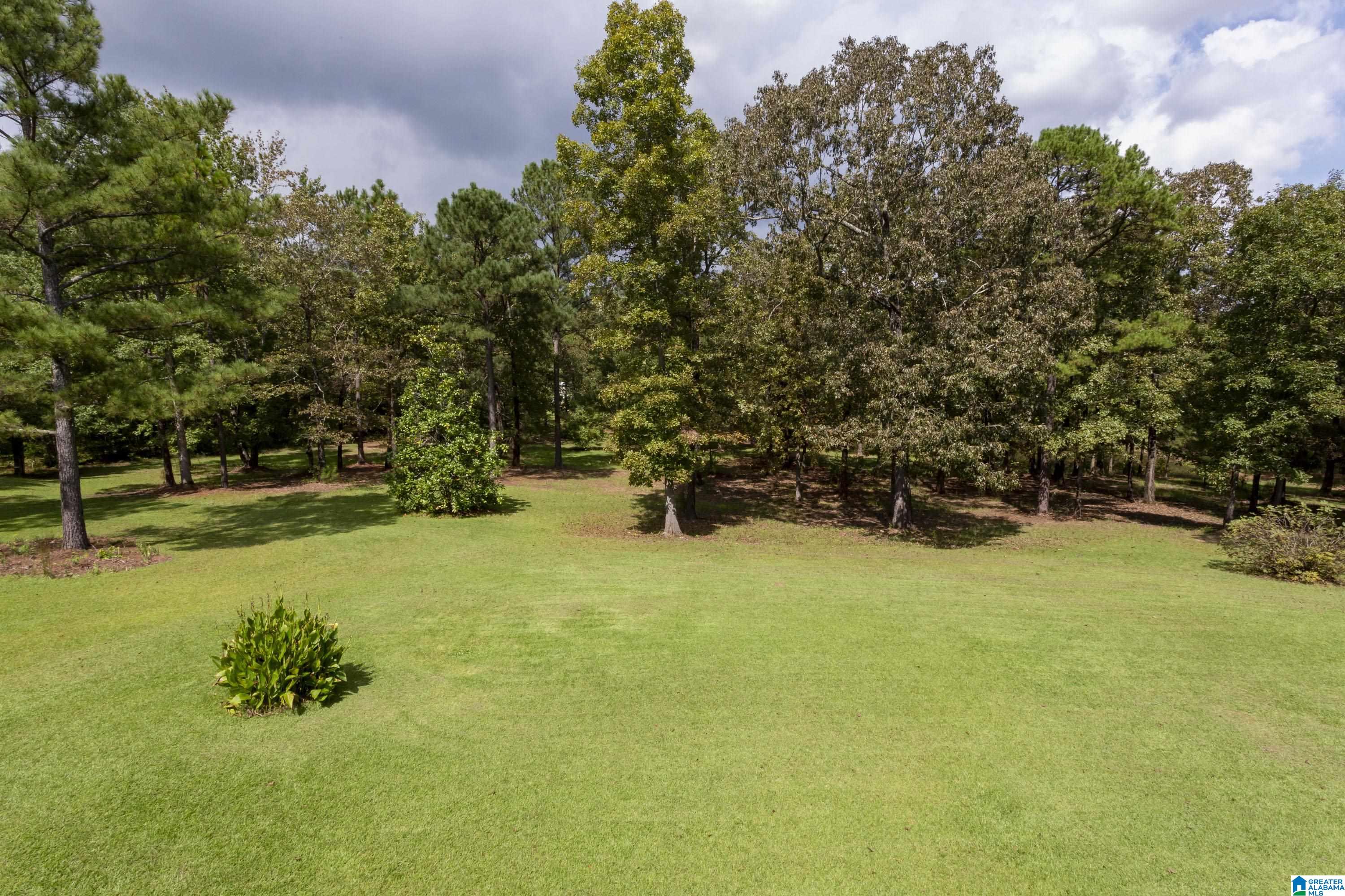 1475 County Road 42 Calera, AL 35040 - Photo 17 of 73