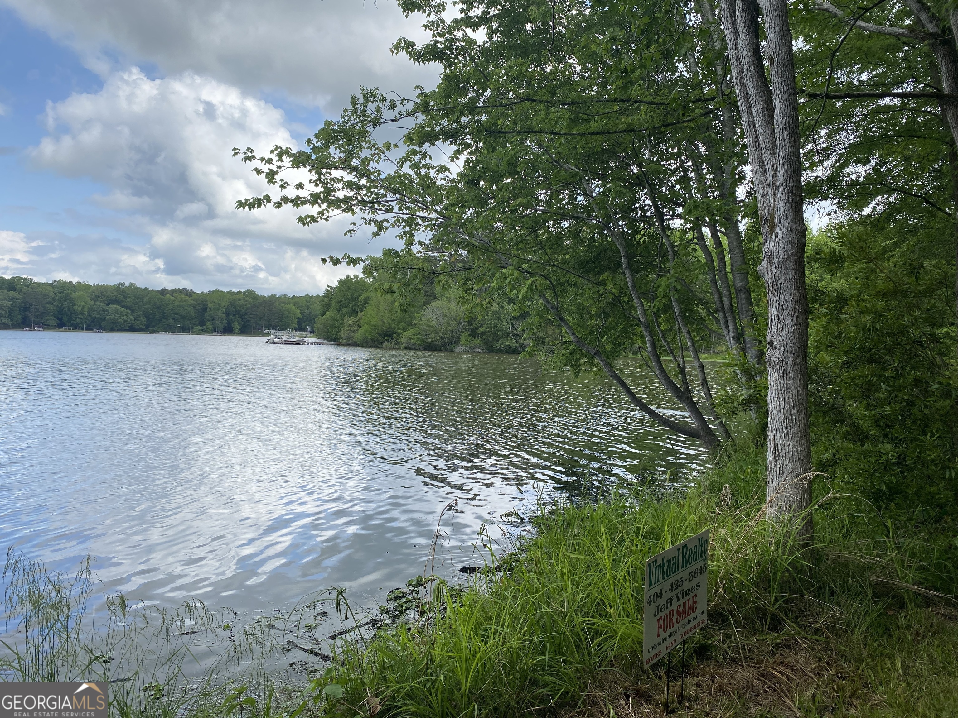 0 Reids Ferry Road Buckhead, GA 30625 - Photo 3 of 36 Lakefront on Oconee 368 feet