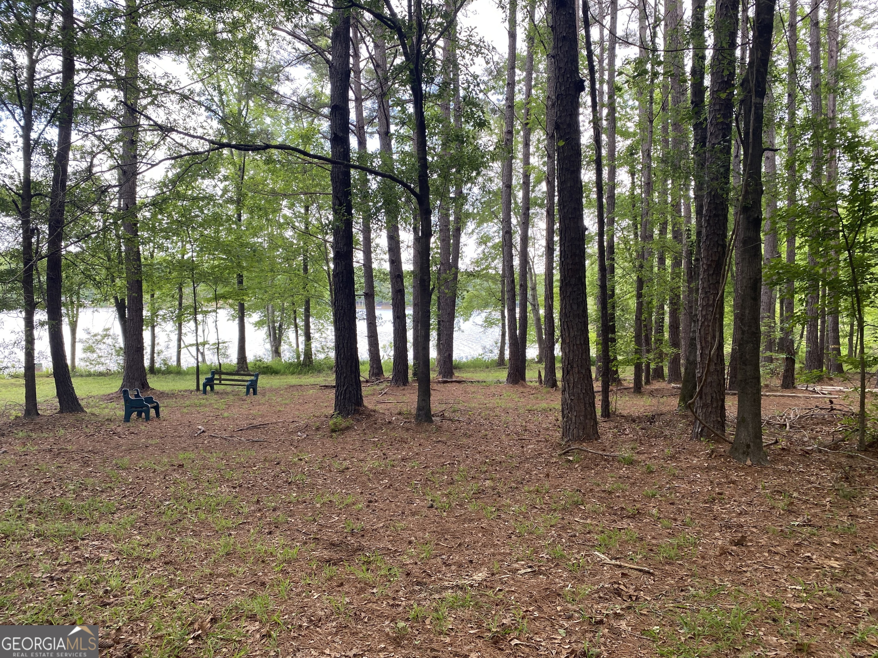 0 Reids Ferry Road Buckhead, GA 30625 - Photo 35 of 36