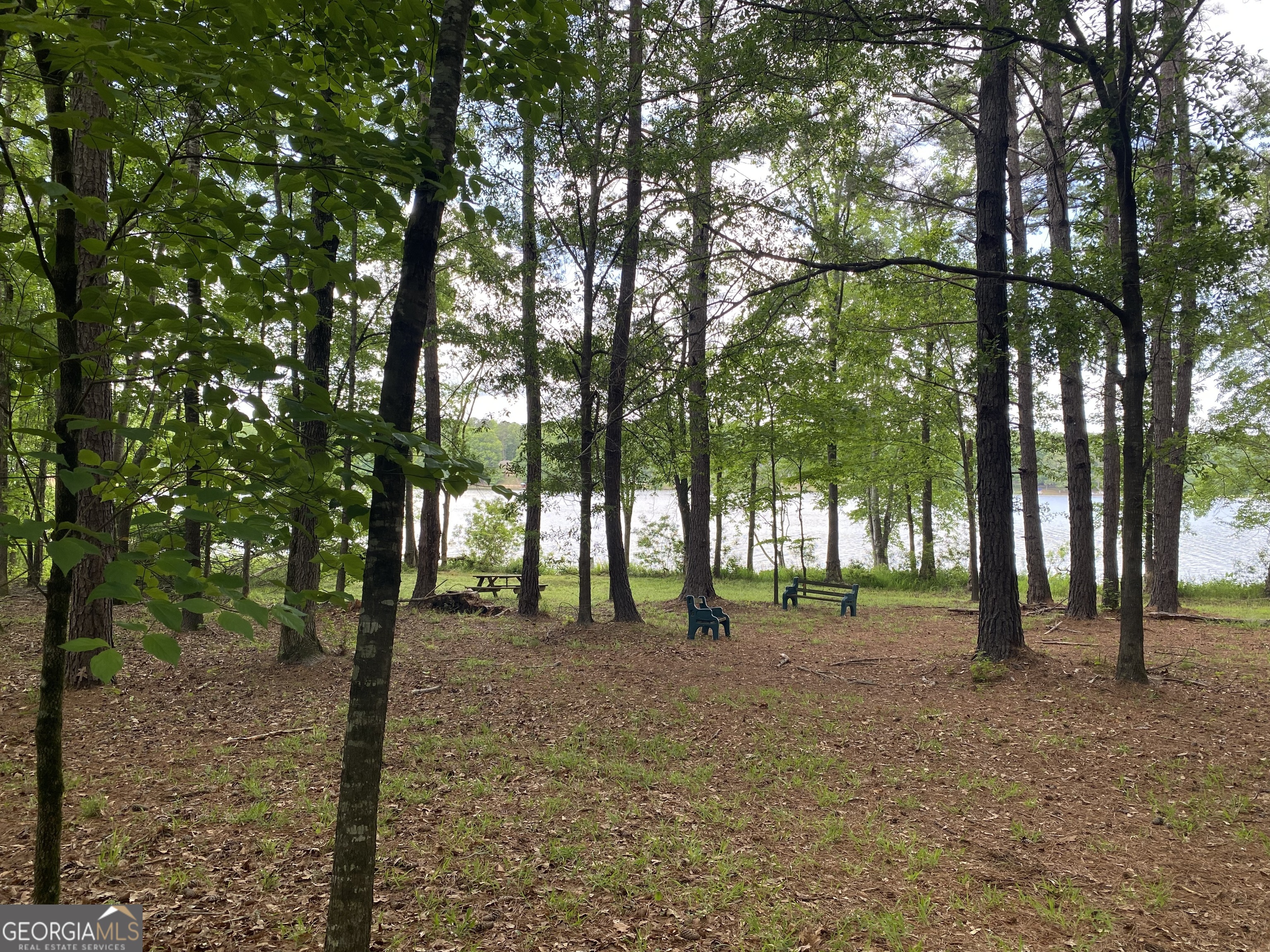 0 Reids Ferry Road Buckhead, GA 30625 - Photo 36 of 36