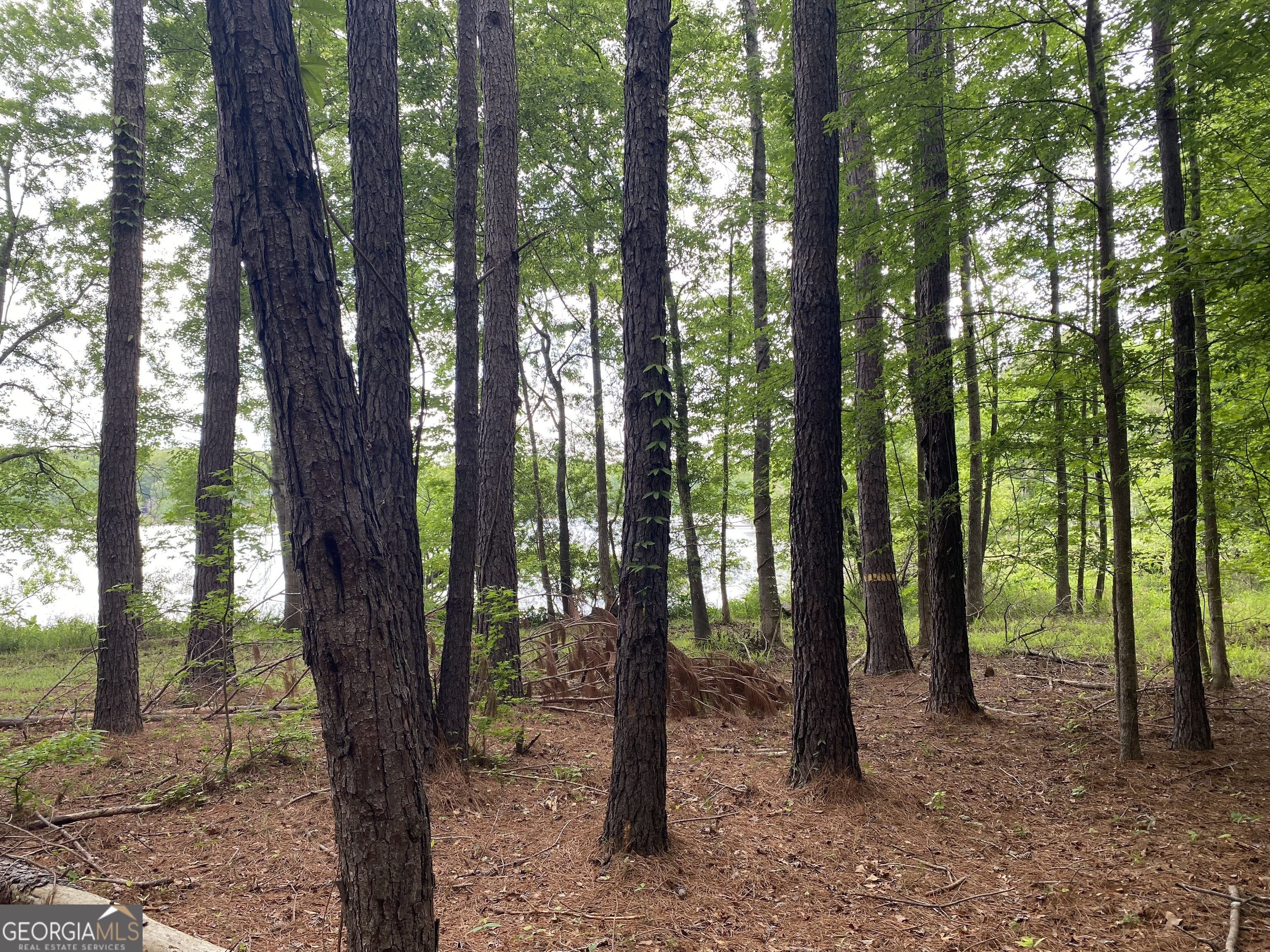 0 Reids Ferry Road Buckhead, GA 30625 - Photo 7 of 36