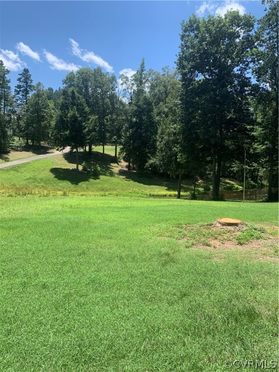 20710 River Road Chesterfield, VA 23838 - Photo 24 of 24 a view of a park with large trees