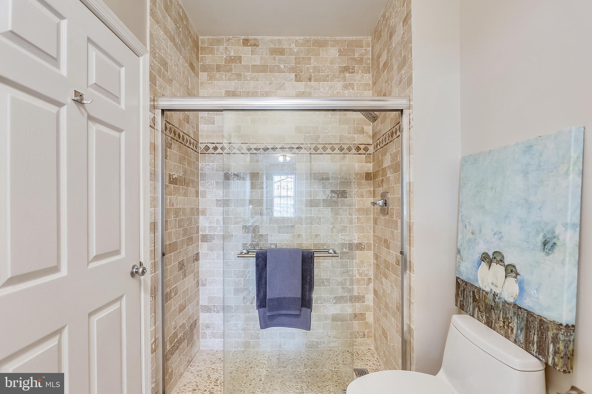 22641 Blue Elder Terrace, Unit 201 Brambleton, VA 20148 - Photo 17 of 42 Renovated Shower