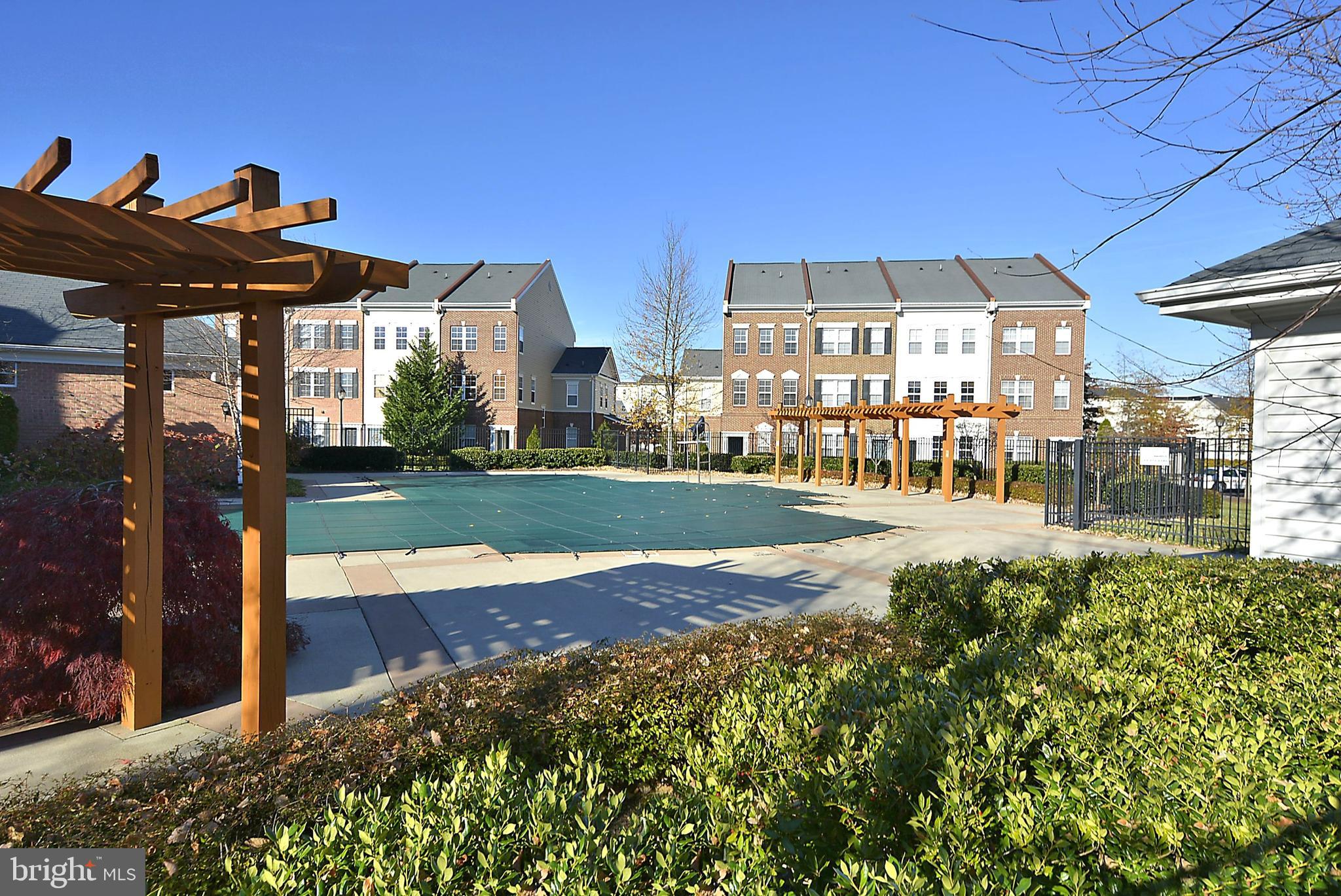 22641 Blue Elder Terrace, Unit 201 Brambleton, VA 20148 - Photo 32 of 42 outdoor pool