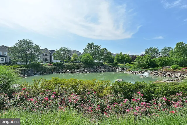 $1,950 | 22641 Blue Elder Terrace, Unit 201, Brambleton, VA 20148