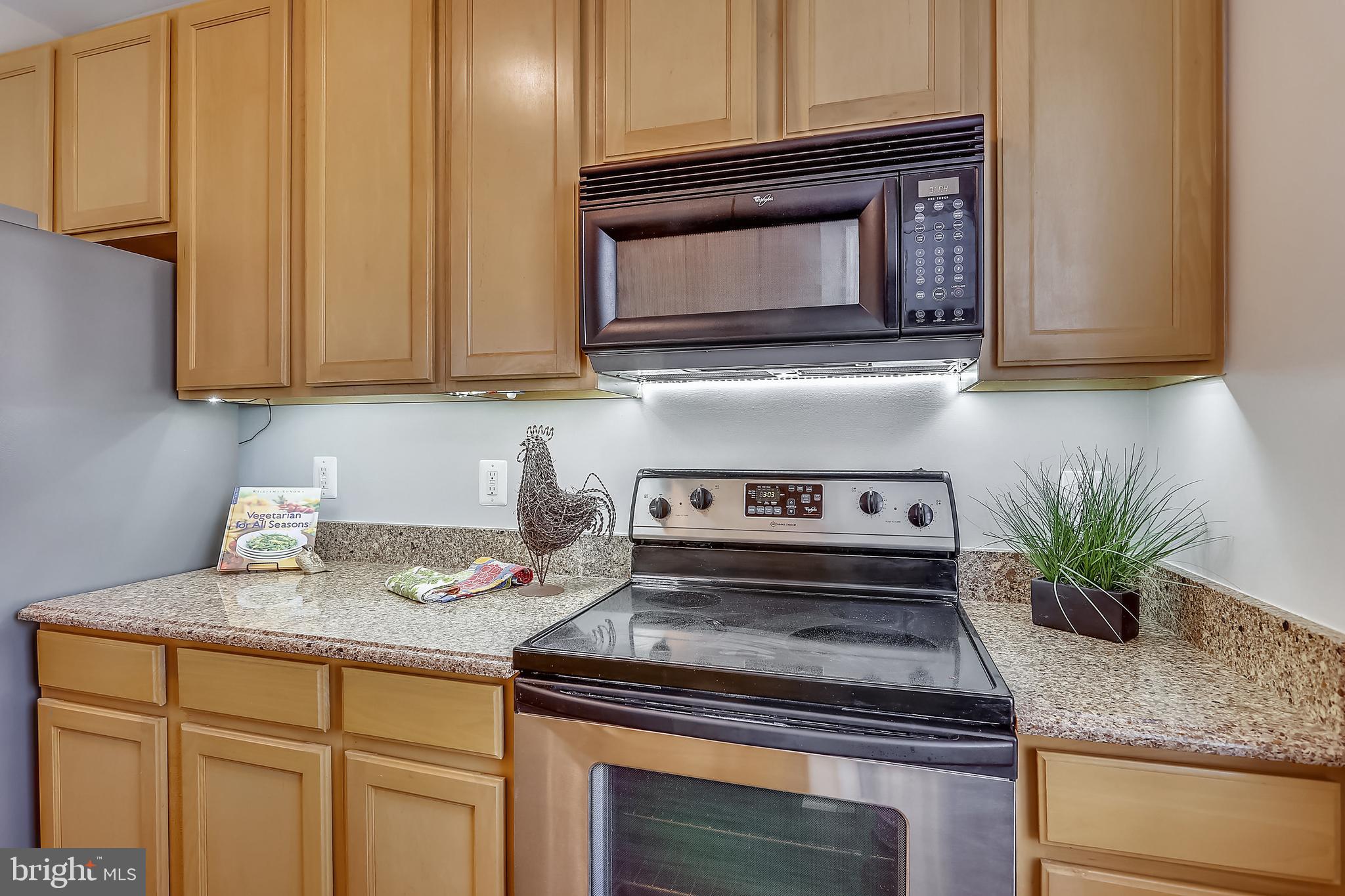 22641 Blue Elder Terrace, Unit 201 Brambleton, VA 20148 - Photo 9 of 42