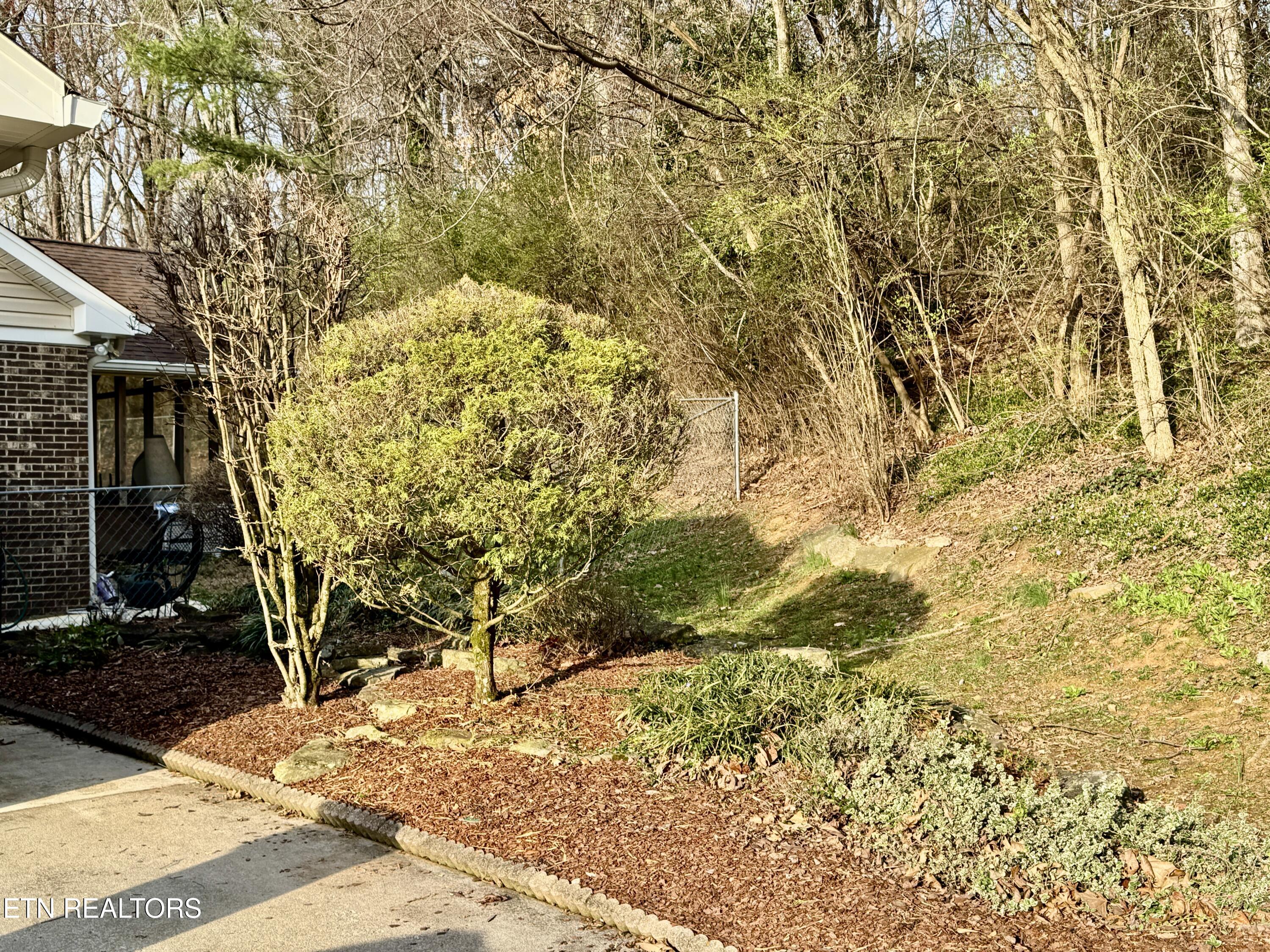 5913 Wassman Road Knoxville, TN 37912 - Photo 10 of 60 6