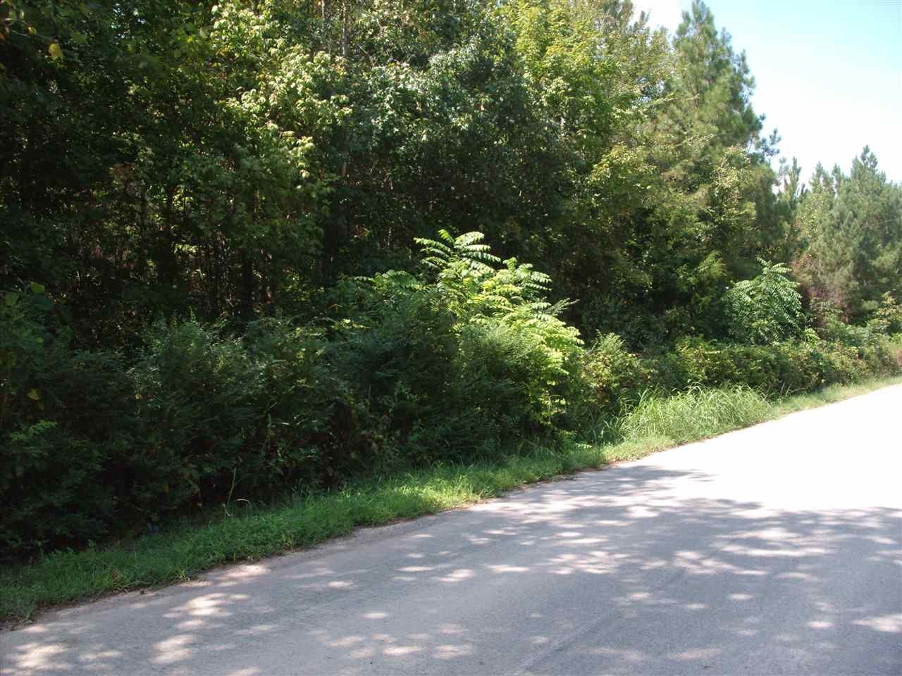 190 Co Road Decatur, TN 37322 - Photo 5 of 7