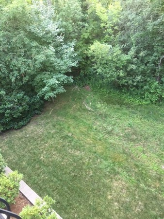 17 Drew Road Newton, MA 02467 - Photo 21 of 22 a view of a green field with lots of bushes
