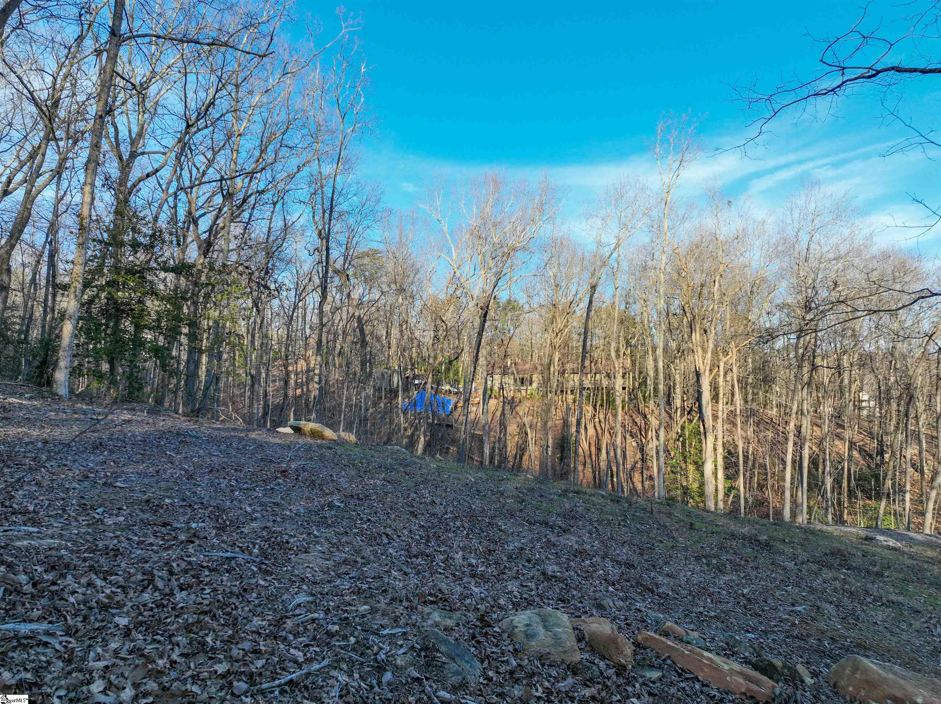 388 Audubon Road Greenville, SC 29609 - Photo 4 of 14