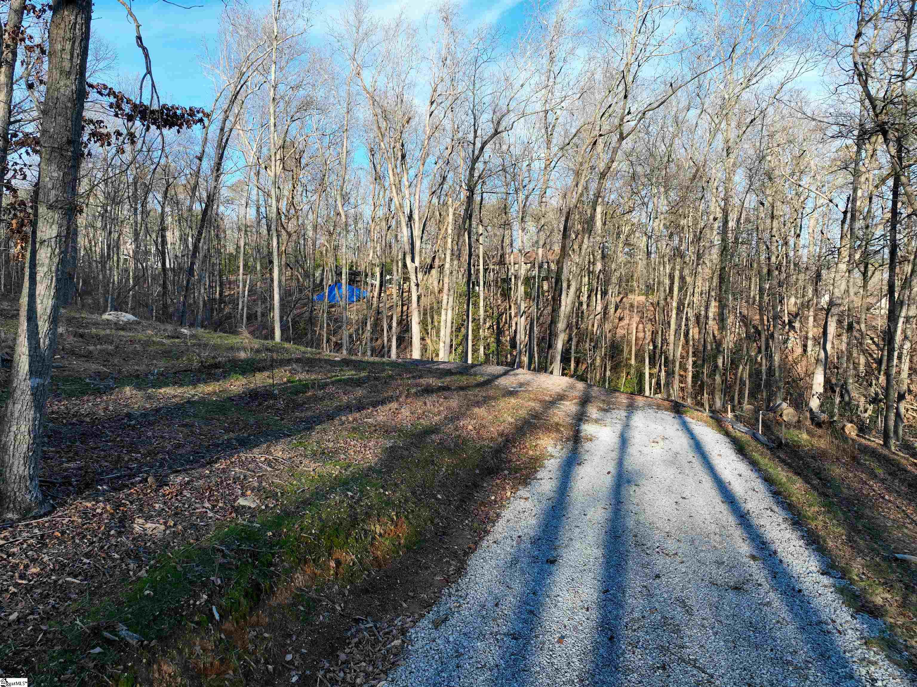 388 Audubon Road Greenville, SC 29609 - Photo 6 of 14