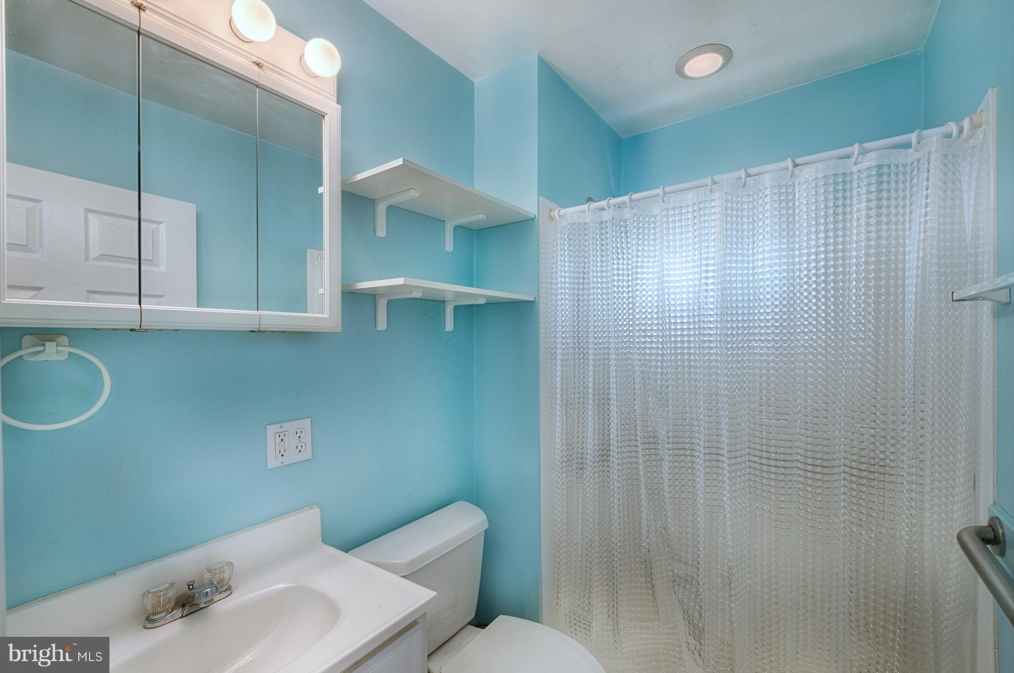 529 Crisfield Road Baltimore, MD 21220 - Photo 10 of 19 a bathroom with a sink a toilet and shower