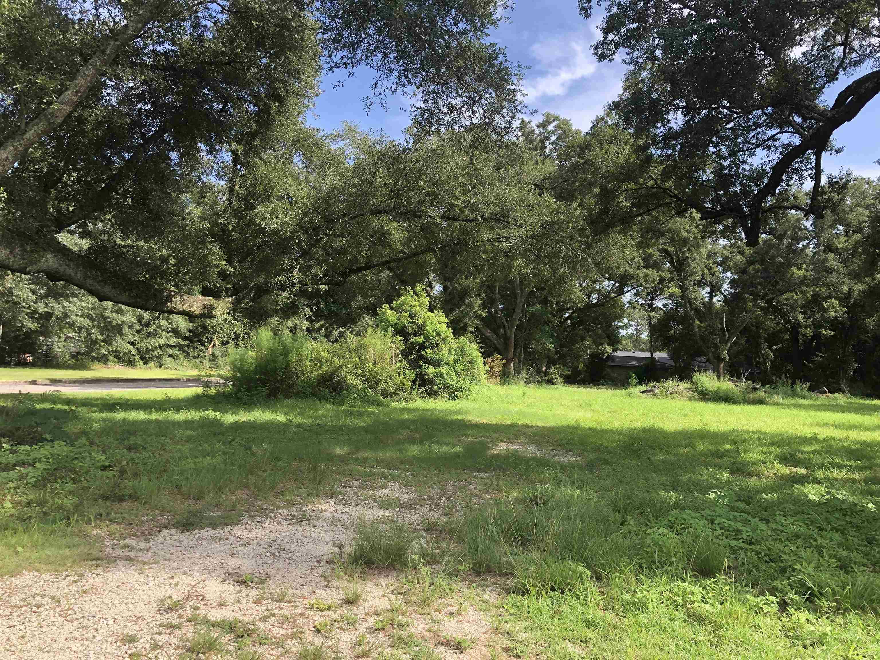 25258 State Street Elberta, AL 36530 - Photo 4 of 5