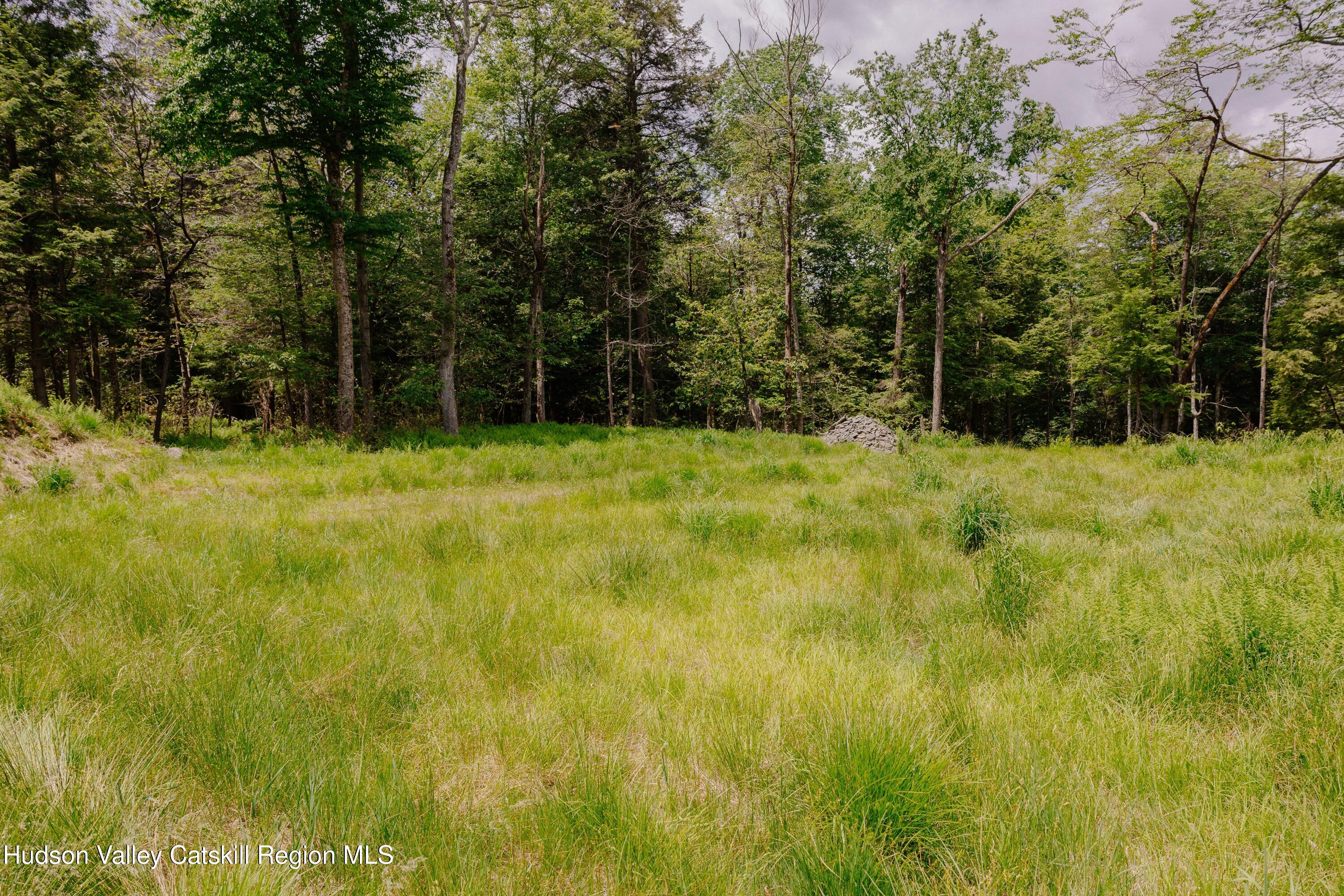 Tbd Church Lake Road Livingston Manor, NY 12758 - Photo 11 of 33 shandelee-woods-thatupstateagent-1-11