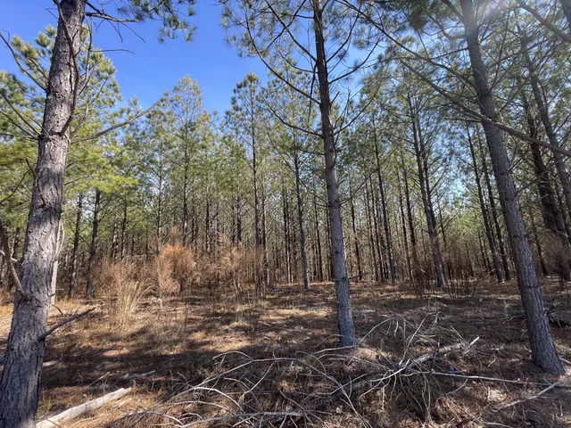 $94,500 | 84 Ridgewood Drive, Linden, TN 37096