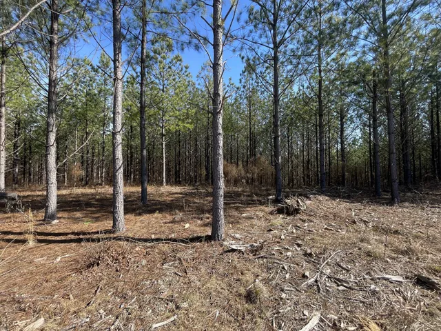 $94,500 | 84 Ridgewood Drive, Linden, TN 37096