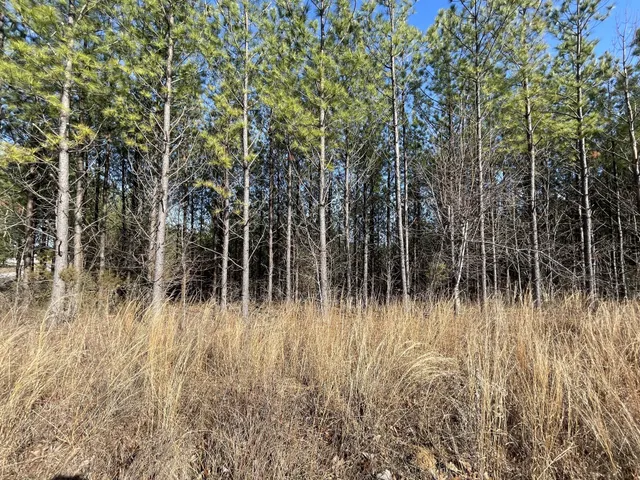 $94,500 | 84 Ridgewood Drive, Linden, TN 37096